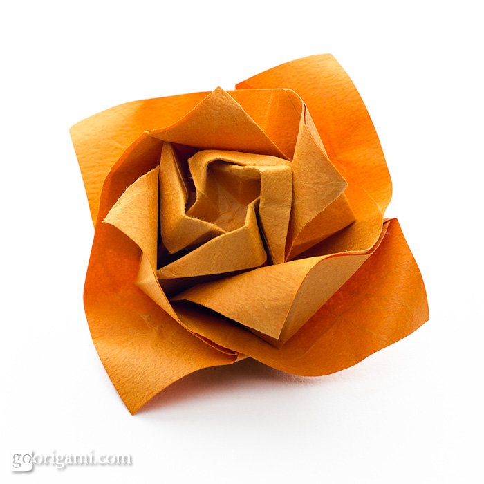 Hard single sheet origami